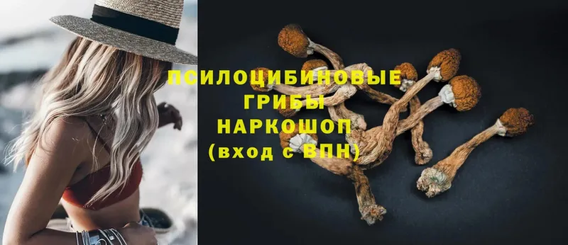 Галлюциногенные грибы Magic Shrooms  Дедовск 